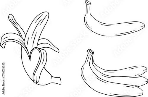 Peeled and Unpeeled Bananas, Line Art Illustration.