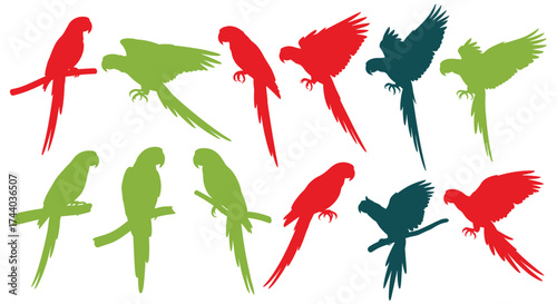 A collection of colorful parrot silhouettes on a white background.