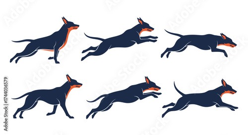 Doberman Pinscher dog animation sequence capturing its running gait.