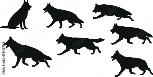 German Shepherd dog silhouette vector, sitting standing walking running poses, black canine outline illustration, pet animal posture clipart, guard dog breed design element