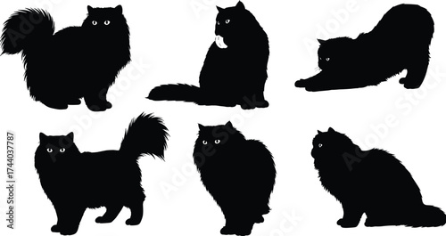 Fluffy black cat silhouettes vector set, sitting standing stretching walking feline poses with visible eyes, domestic pet artwork, cad drawing flat vector illustration