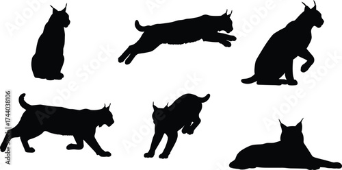 Black lynx silhouette collection, sitting, leaping, crouching, lying down, wild cat vector, animal posture, wildlife design, cad drawing flat vector illustration