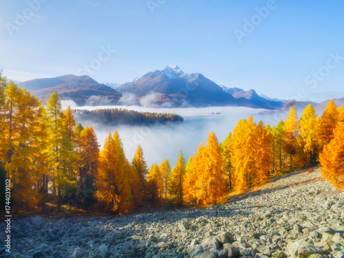 Nature. Fog and fall forest. Autumn landscape in the Swiss Alps. Foggy morning. Incredible view of the mountain valley. Photo for background, wallpaper, postcards.