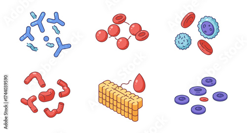 Colorful isometric blood and immune cell icons set