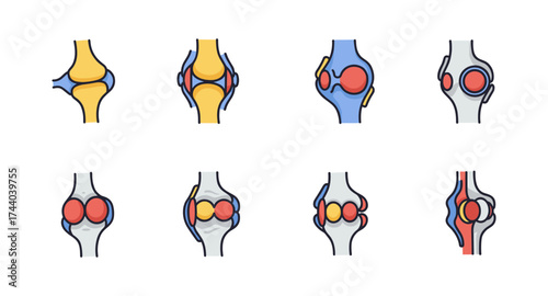 Colorful cartoon knee joint designs for medical and educational use
