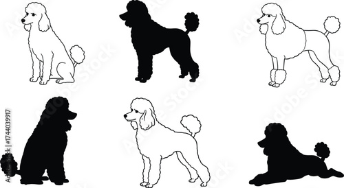 Poodle dog silhouettes, pet vector illustration, canine outline artwork, black and white clipart, elegant grooming styles, breed design, sitting standing poses collection
