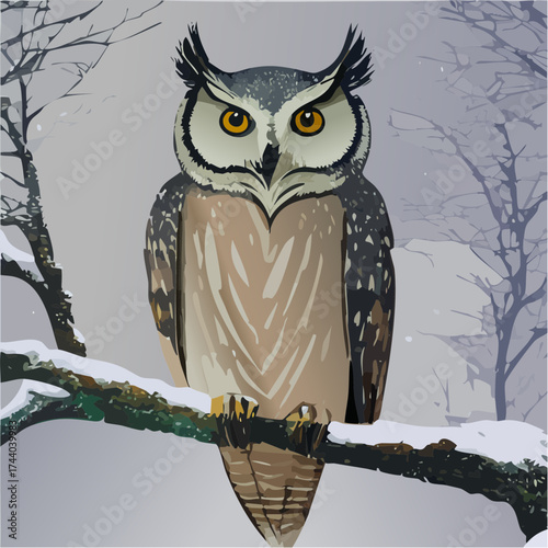 Eine Eule sitzt auf einem schneebedeckten Ast