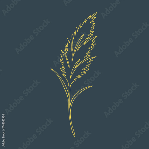 Elegant minimalist line drawing of a tall grass or reed with detailed feathery seed head on a dark