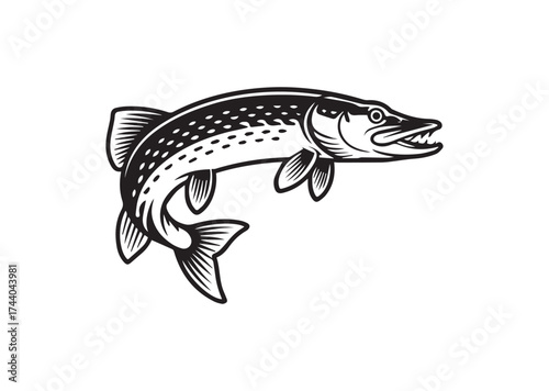 Fish Icon, Fish pike vector Design