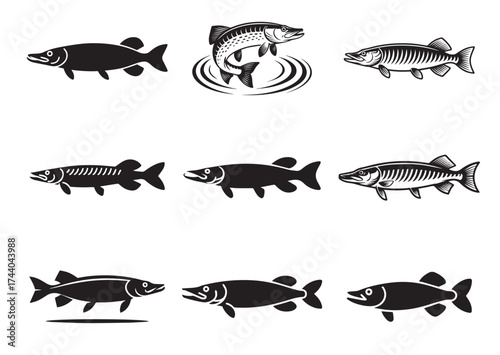 Fish Icon, Fish pike vector Design