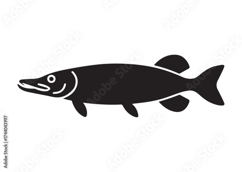 Fish Icon, Fish pike vector Design