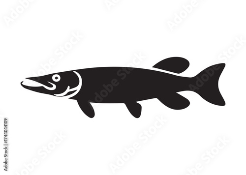 Fish Icon, Fish pike vector Design