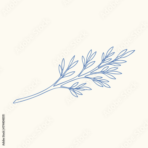 Delicate sprig of slender leaves with fine detailing and a graceful curve, set against a neutral for elegant presentation