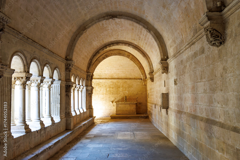 Naklejka premium Cloister of the Abbey of Montmajour, Arles, Provence, France, Europe