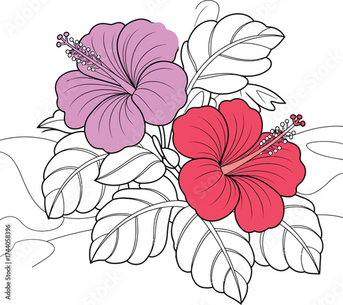 Two colorful hibiscus flowers with detailed leaves and intricate petals blooming gracefully in nature