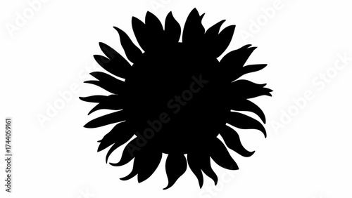 A silhouette of a sunflower with many petals arranged around a central disc on a white background