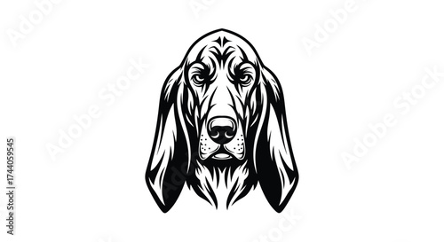 Black and white illustration of a basset hound's face