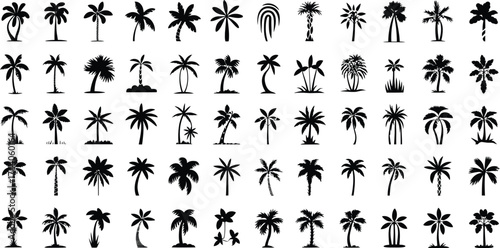 Collection of various silhouette palm trees on a white background