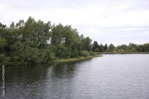 A peaceful view of a river surrounded by dense forest with a small glimpse of sky, capturing the calm and harmony of nature.