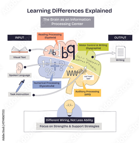 Learning differences explained in a brief doodle diagram showing brain processing paths for reading, numbers, and writing, key objects, brain, arrows, labels. Doodle style diagram