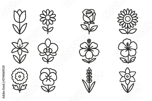 Floral Icon Collection. Line style icons of flower varieties: tulip, daisy, rose, sunflower; lily, orchid, hibiscus, poppy;