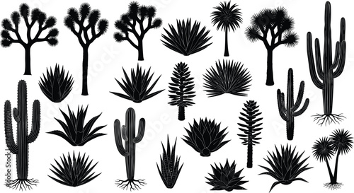 Desert plant silhouette collection, cactus and agave vector set, black and white botanical illustration, arid flora design, nature ecosystem concept art