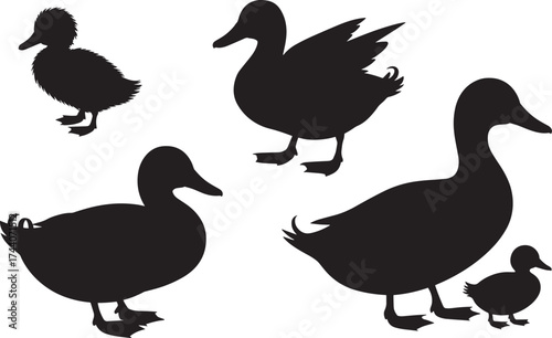 Black duck bird silhouettes set isolated on transparent background, farm animals waterfowl