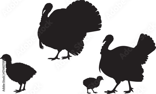 Black turkey bird silhouettes set isolated on transparent background, farm animal poultry
