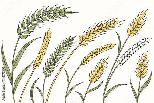Seamless linear pattern of stylized wheat stalks