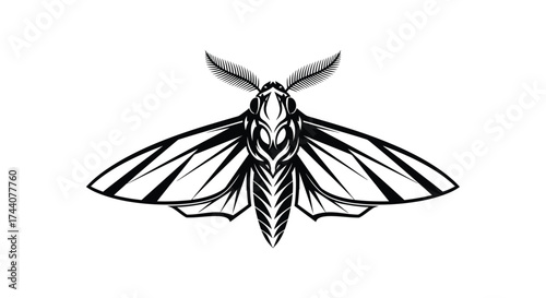 Black and white moth tribal art design insect butterfly