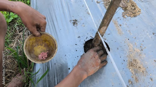 Hands prepare soil and organic gardening materials outdoors showcasing sustainable farming and eco-friendly cultivation practices.