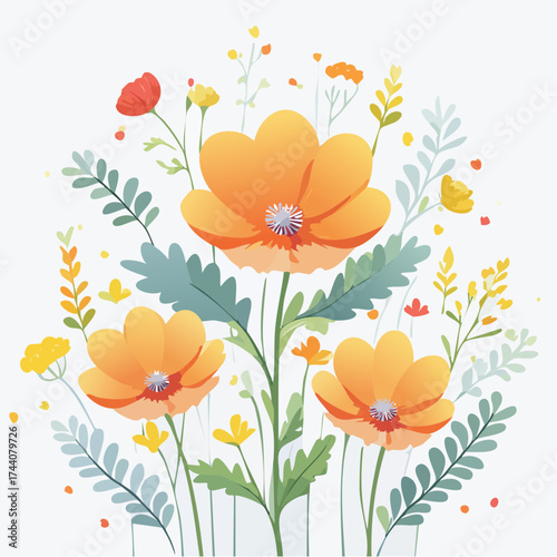 Hintergrund Klatschmohn