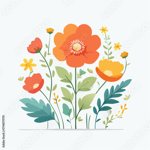 Hintergrund Klatschmohn