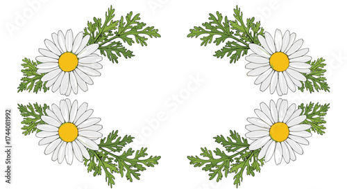 A decorative border of white daisies with green fern-like leaves in the corners.