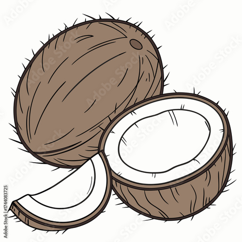 Illustration of a whole coconut a halved coconut and a slice of coconut on a white background perfect for tropical themes and healthy eating concepts