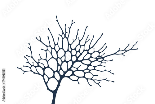 Abstract dry coral or tree branch silhouette