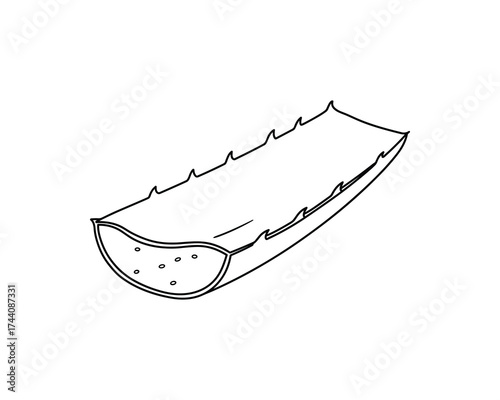 Aloe Vera Leaf Segment Outline