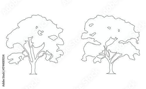 Tree outlines isolated on white background. Tree plan drawing, elements for environment and garden. cad drawings. Vector illustration.