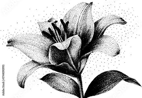 Intricate dotwork stipple illustration of a blooming lily