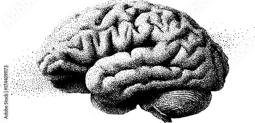 Intricate dotwork stippling of a brain for scientific art and design
