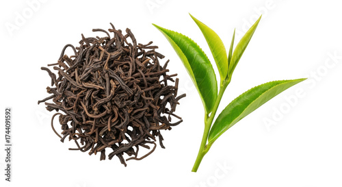 Canvastavla Isolated dry black loose leaf tea pile and fresh green sprouts for flavor and ar