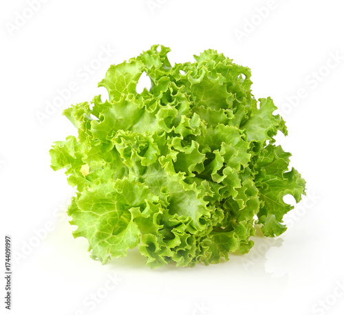 Gentile lettuce (sativa lactuca) green salad lettuce Isolated on white background .