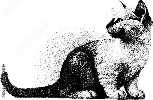 Intricate stipple illustration of a cat in dotwork style for art and design