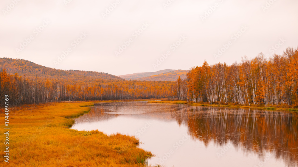 Obraz premium autumn landscape with lake and trees