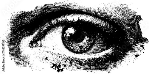 Intricate dotwork stippling illustration of human eye with halftone effect for art design