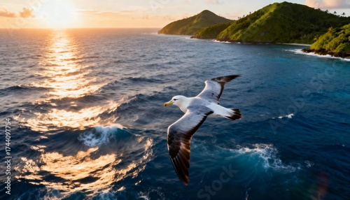 A seagull soars over the ocean at sunset with islands in the background
