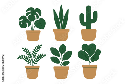 Collection of six popular indoor houseplants including Monstera Snake Plant and Cactus