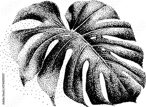 Monstera leaf dotwork art with stipple technique for botanical design