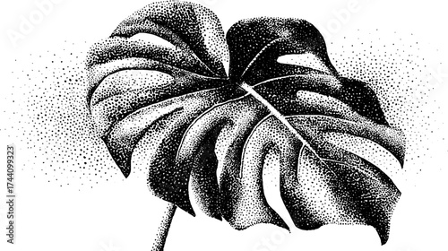 Detailed monstera leaf dotwork stippling illustration for artistic design