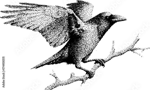 Intricate dotwork illustration of a raven perched on a branch for artistic design